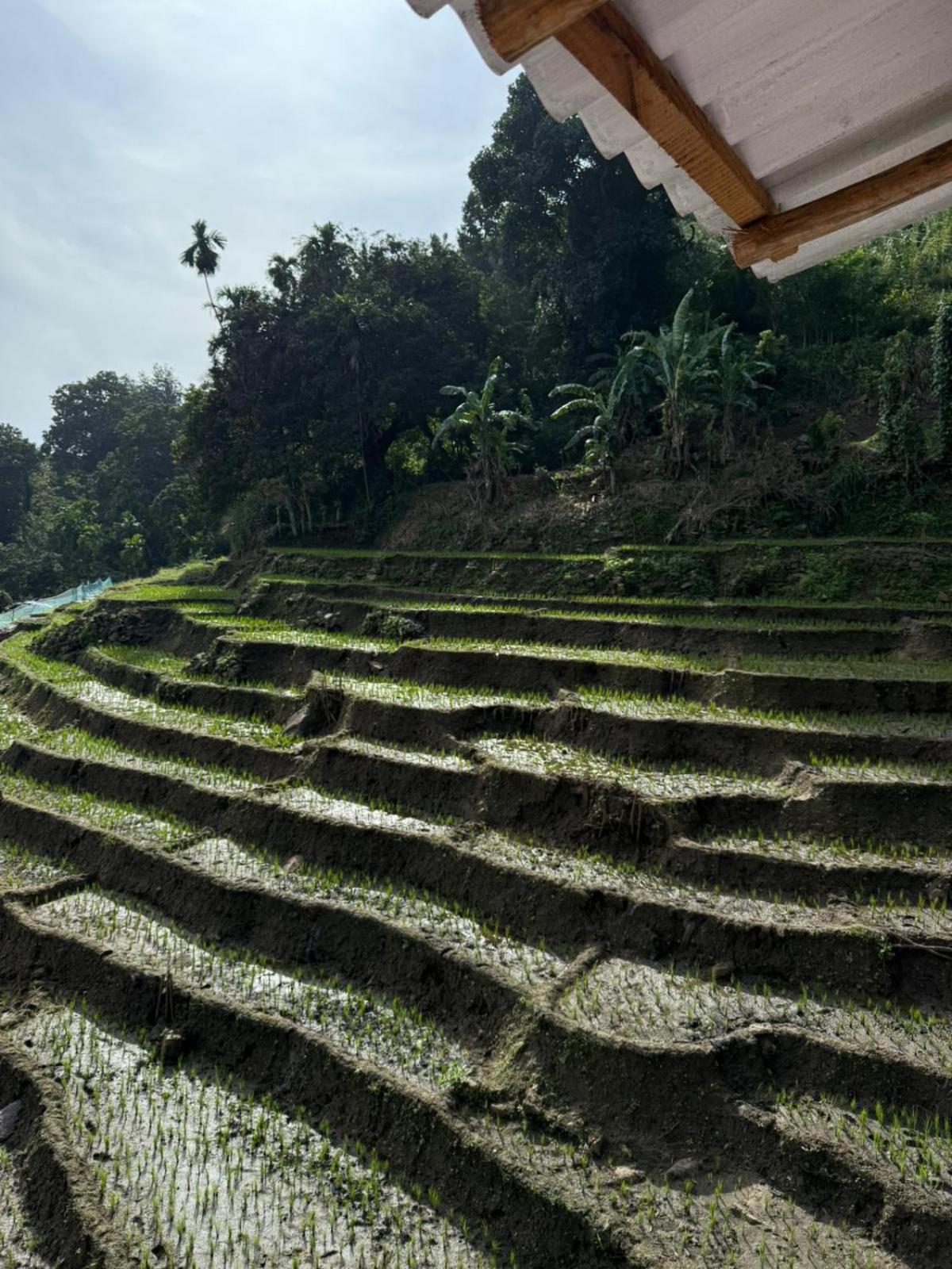 Kingdom Of Rustic Ella Villa Phòng bức ảnh
