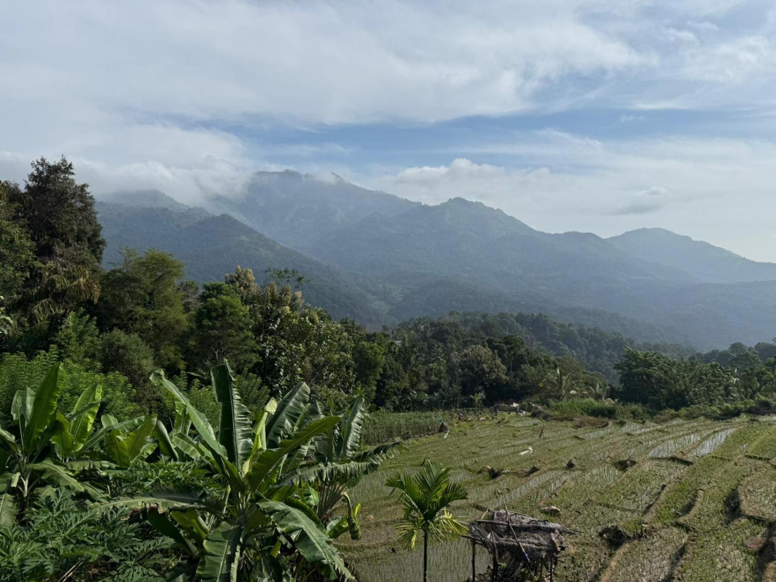 Kingdom Of Rustic Ella Villa Phòng bức ảnh