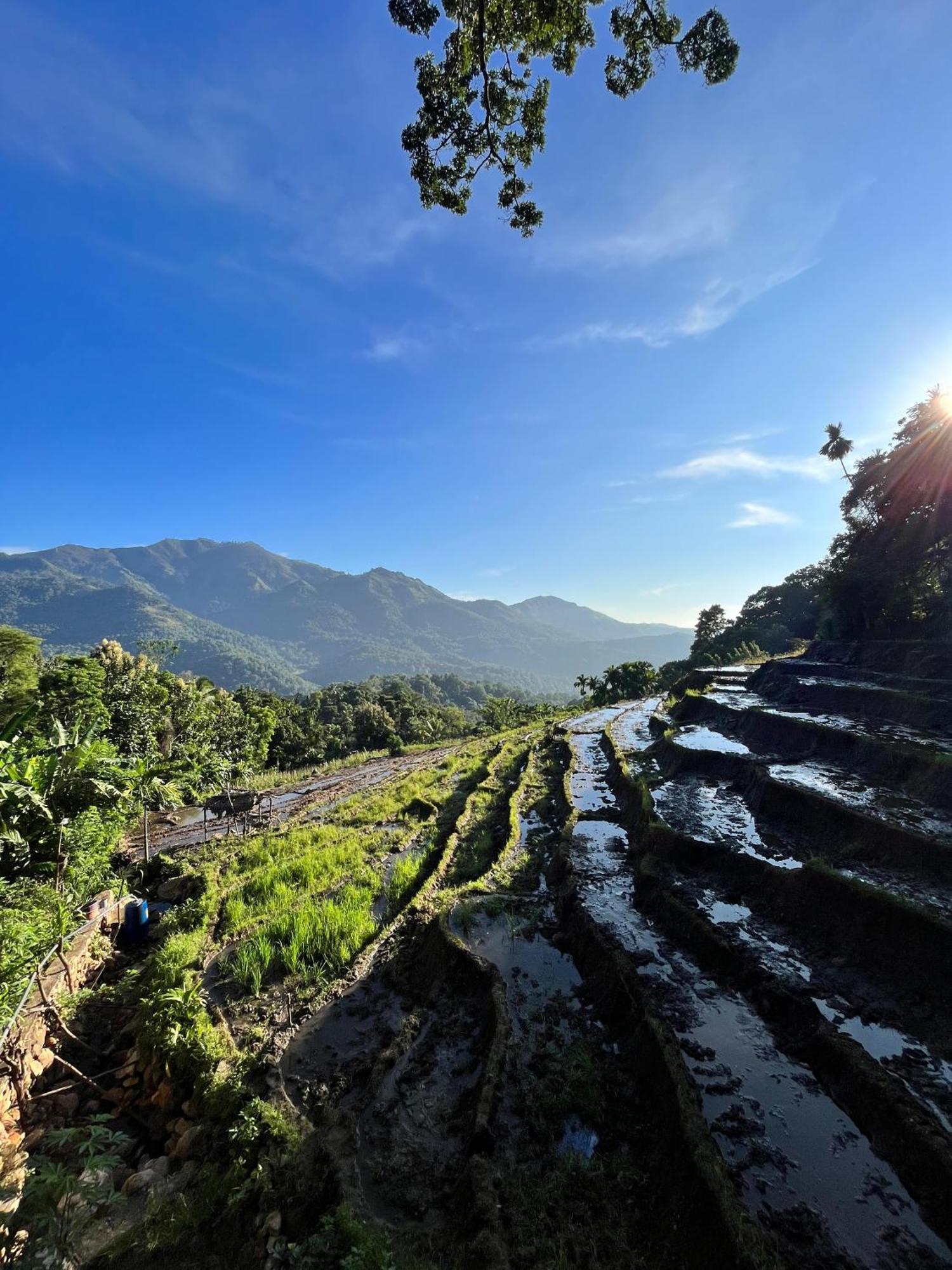 Kingdom Of Rustic Ella Villa Phòng bức ảnh