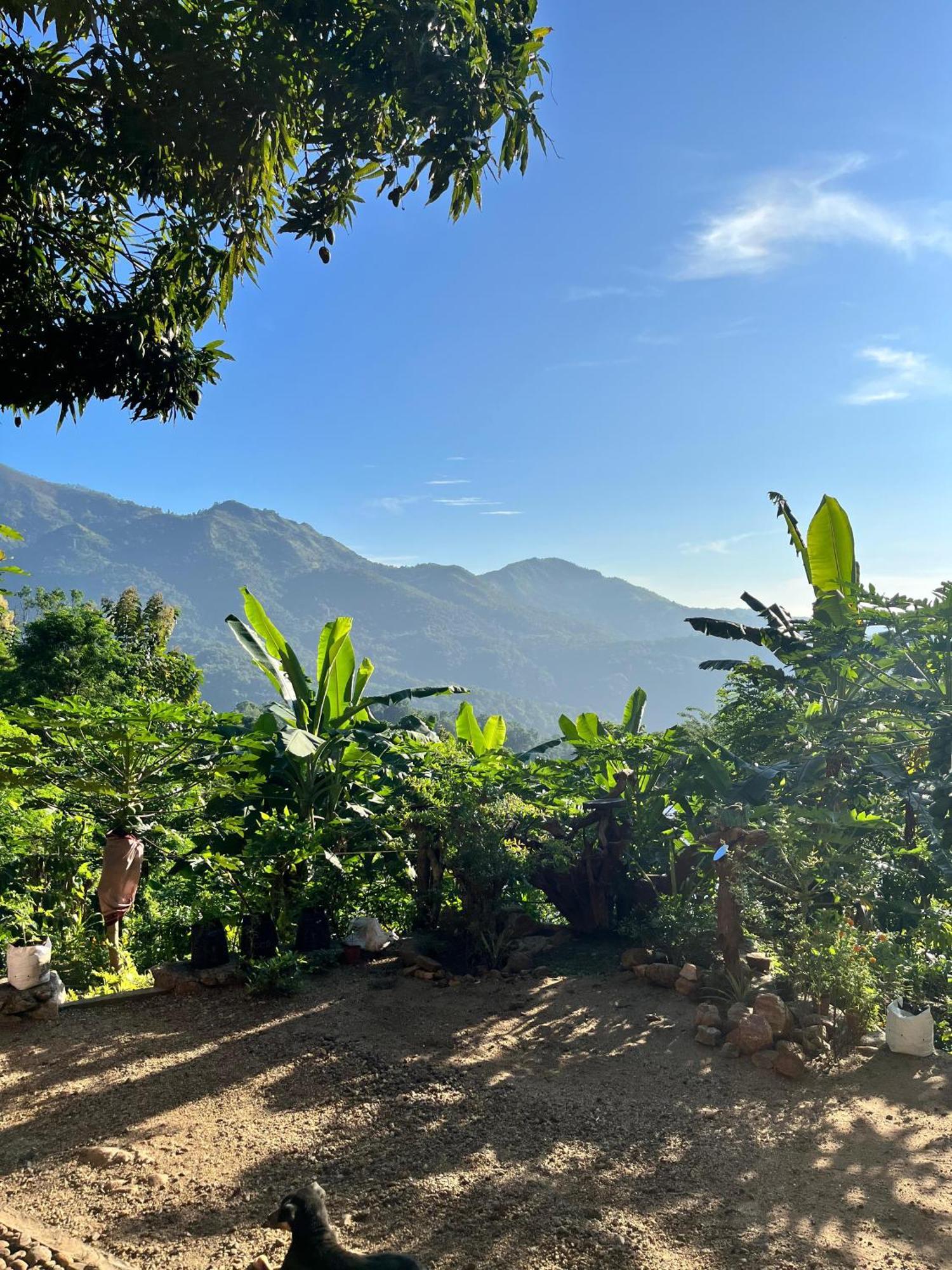 Kingdom Of Rustic Ella Villa Phòng bức ảnh