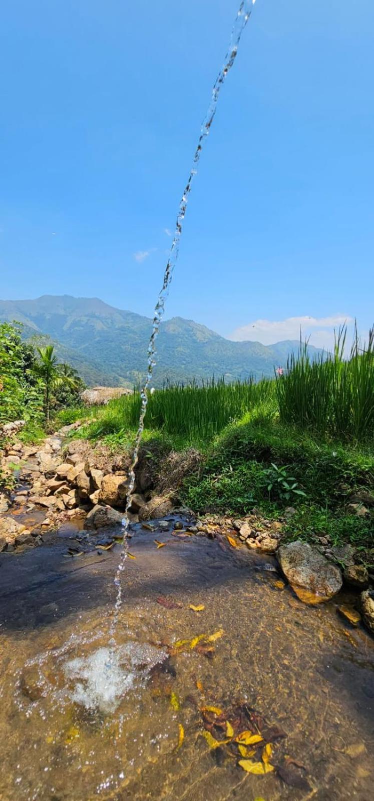 Kingdom Of Rustic Ella Villa Ngoại thất bức ảnh