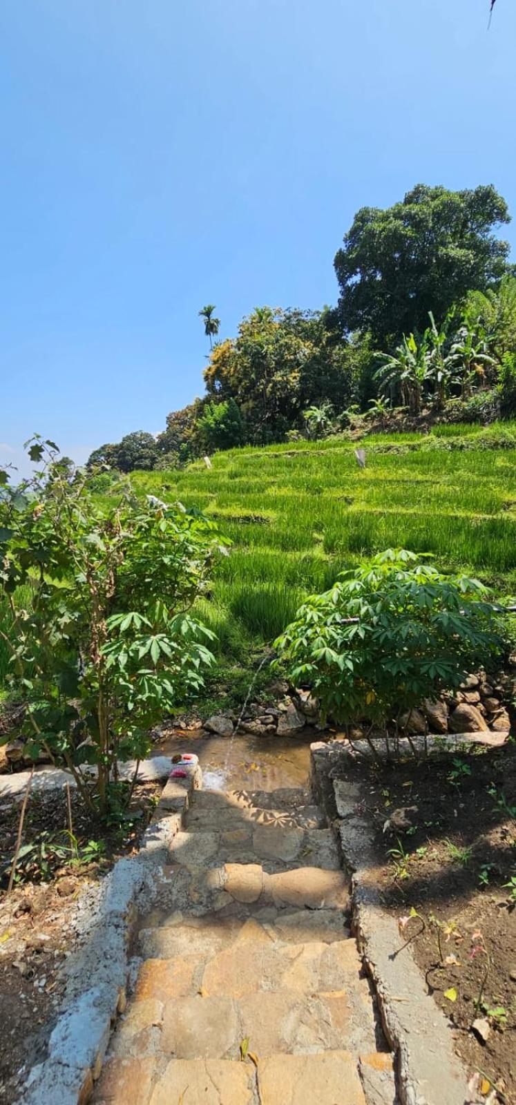 Kingdom Of Rustic Ella Villa Ngoại thất bức ảnh