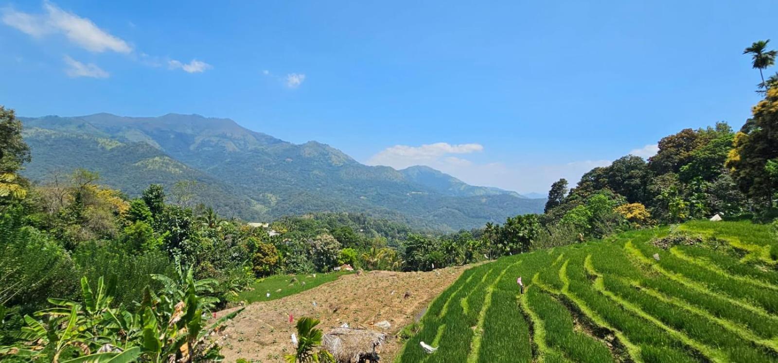 Kingdom Of Rustic Ella Villa Ngoại thất bức ảnh