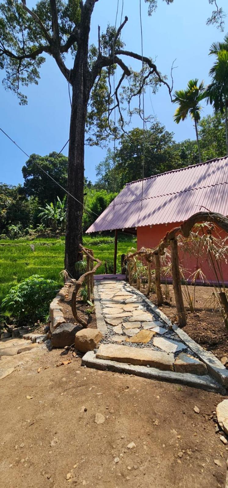 Kingdom Of Rustic Ella Villa Ngoại thất bức ảnh