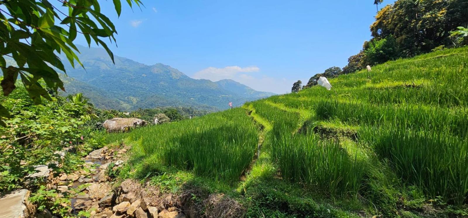 Kingdom Of Rustic Ella Villa Ngoại thất bức ảnh