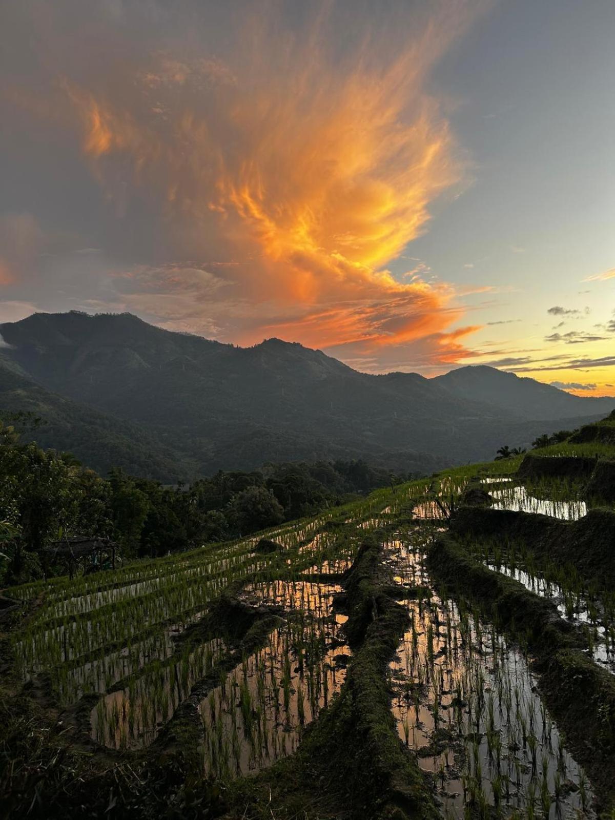 Kingdom Of Rustic Ella Villa Ngoại thất bức ảnh